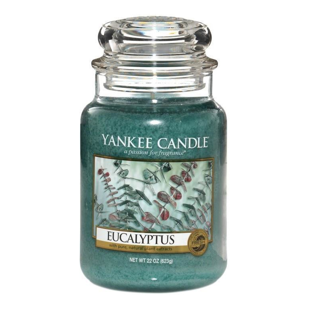 Yankee Candle Large Jar duża świeczka zapachowa Eucalyptus 623g