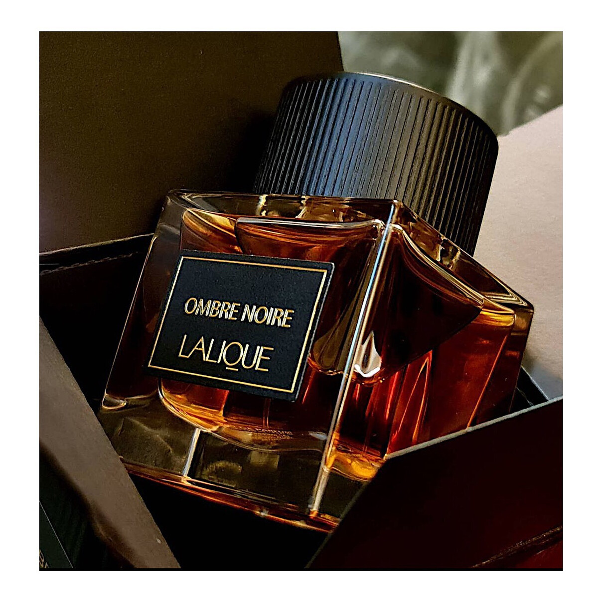 Lalique Ombre Noire Woda perfumowana spray 100ml