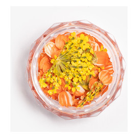 Flower flakes golden sunset