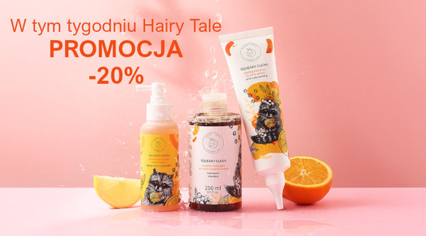 Promocja