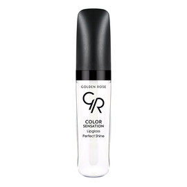 Color Sensation Lipgloss Błyszczyk do ust