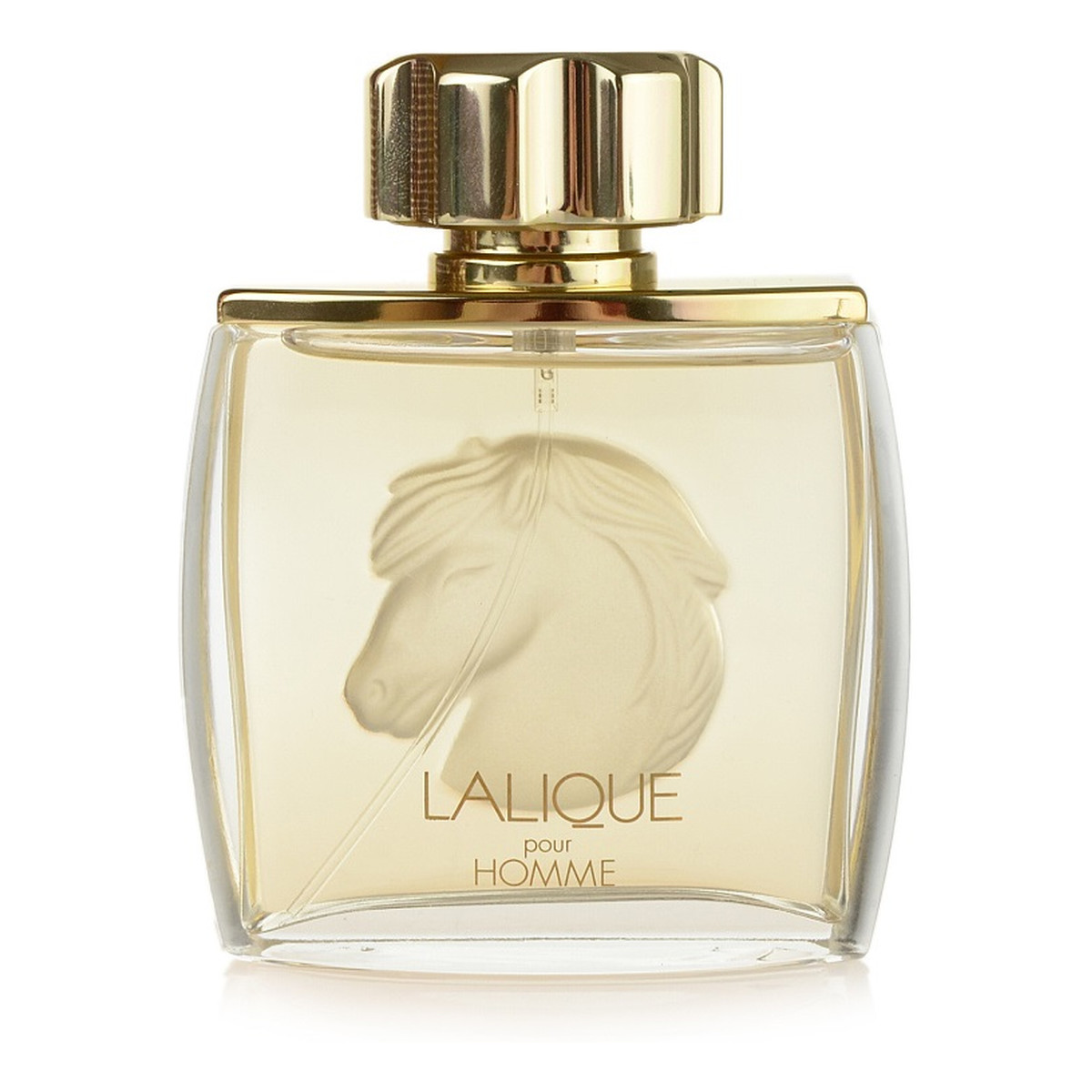 Lalique Pour Homme Equus Woda perfumowana dla mężczyzn 75ml