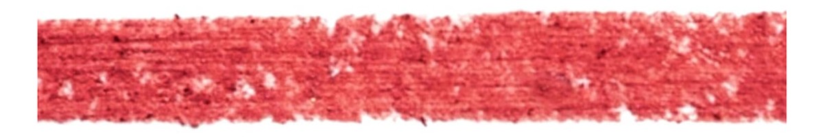 24H Stay-in-Place Lip Liner konturówka do ust