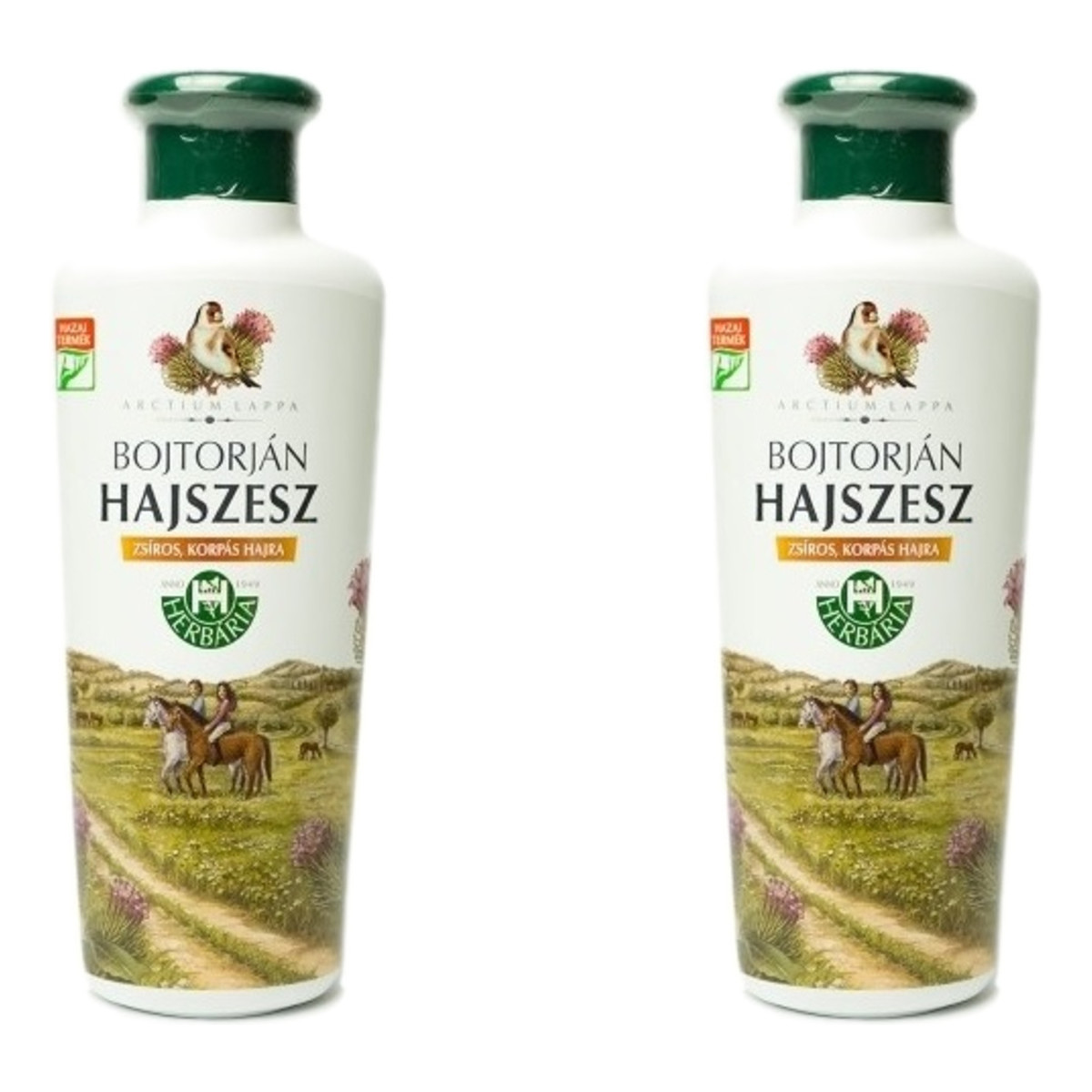 Banfi Herbaria Bojtorjan Hajszesz Wcierka do skóry głowy z ekstraktem z Łopianu na porost i wypadanie włosów 2x250ml