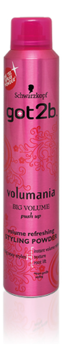 Puder Do Stylizacji Włosów w Spray`u