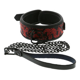 Blaze deluxe collar leash obroża ze smyczą