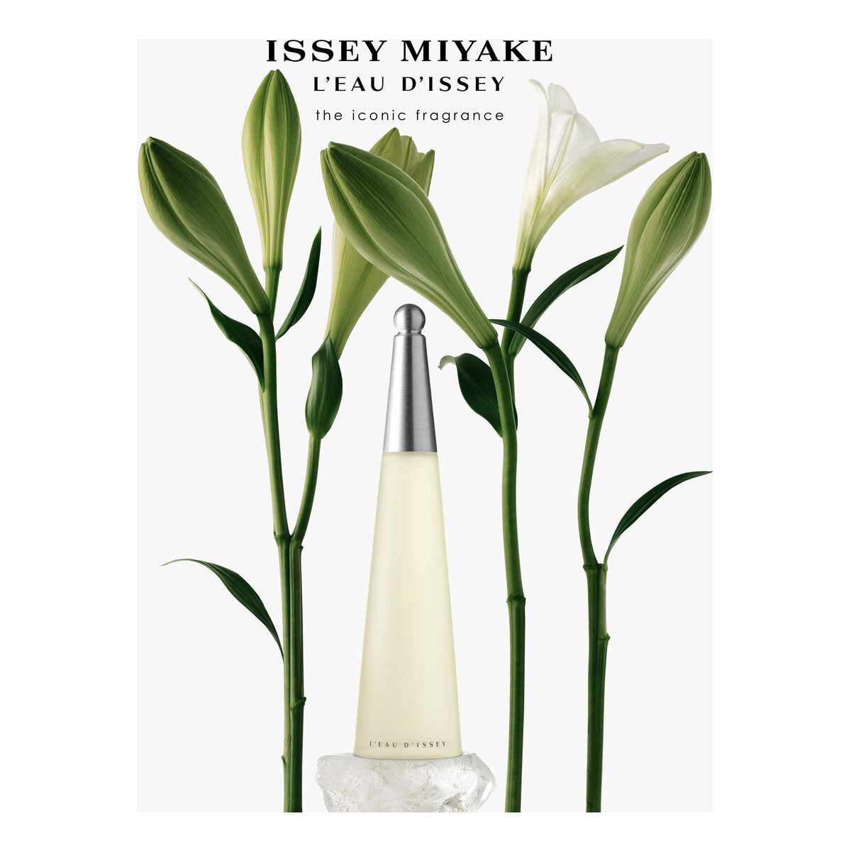 Issey Miyake L'Eau D'Issey woda toaletowa dla kobiet 100ml