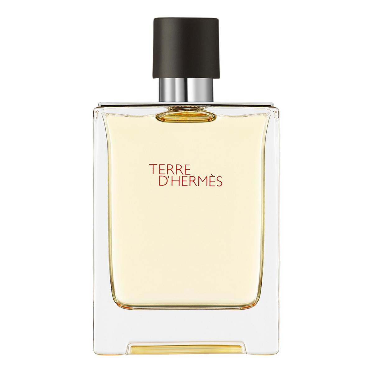 Hermes Terre D'Hermes Woda toaletowa spray 100ml