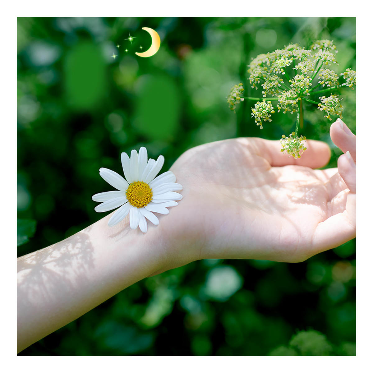 Podpaski Night ze skrzydełkami 1 op.-7 sztuk