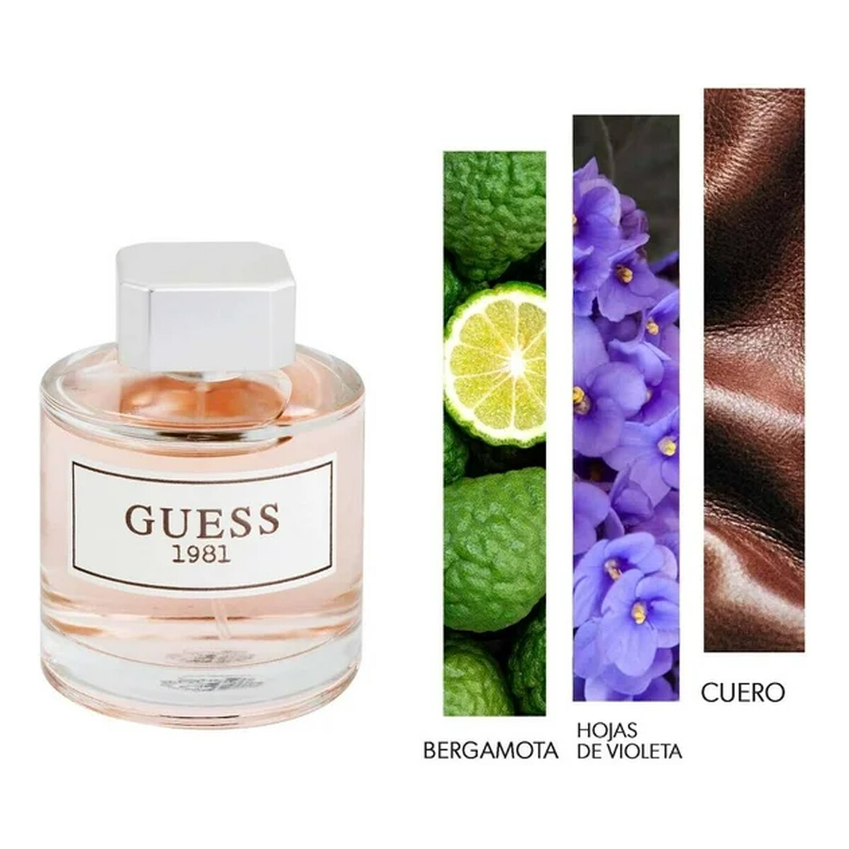 Guess 1981 Woda toaletowa spray 100ml