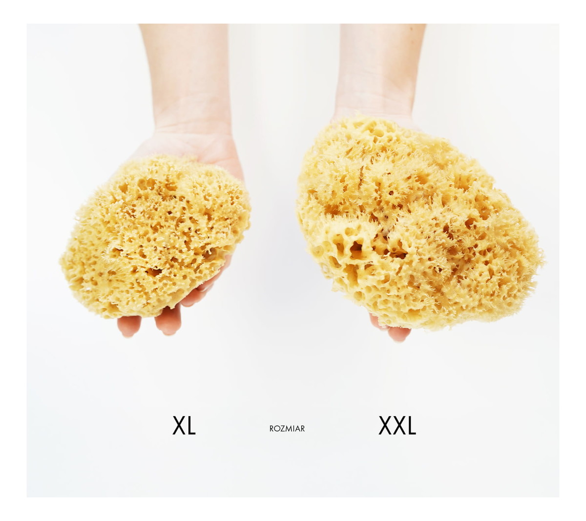 Naturalna gąbka morska do twarzy i ciała - super size XXL 13,5-16,5cm