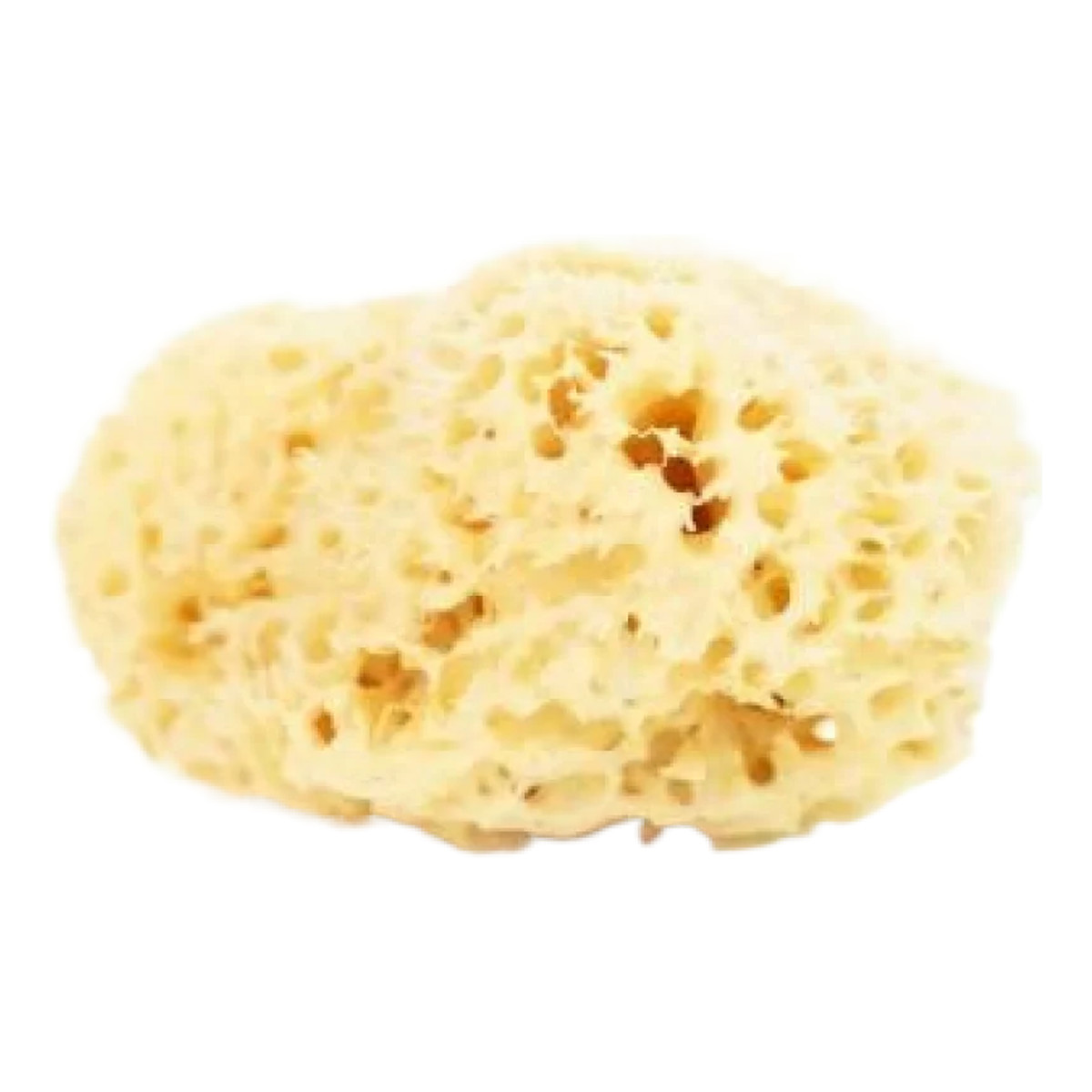 Lullalove Naturalna gąbka morska do twarzy i ciała - size XL 11-13.5cm