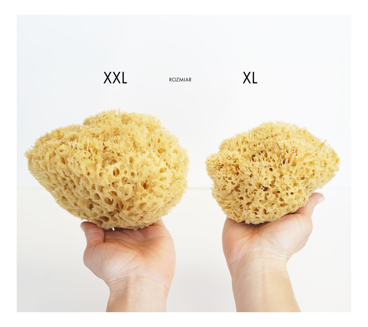 Naturalna gąbka morska do twarzy i ciała - size XL 11-13.5cm