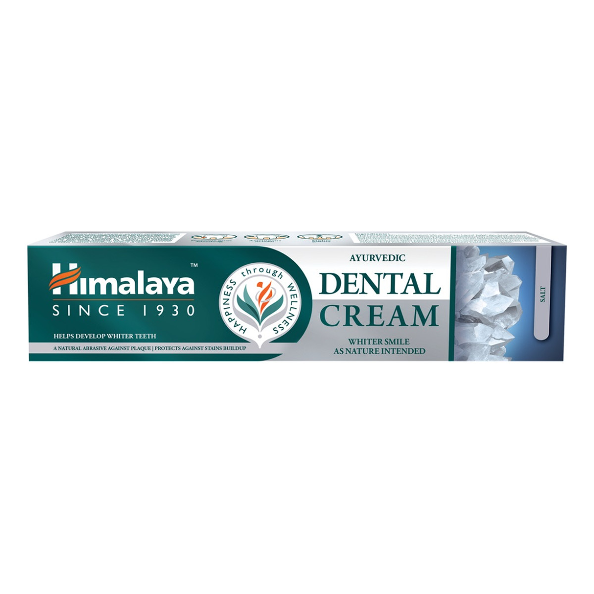 Himalaya Ayurvedic dental cream toothpaste ajurwedyjska ziołowa pasta do zębów z solą 100g