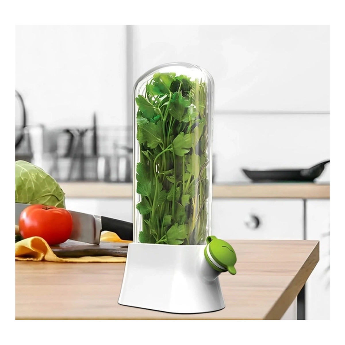 Ecarla Pojemnik Do Przechowywania Świeżych Ziół, Na Miętę, Warzywa Do Lodówki POJ09