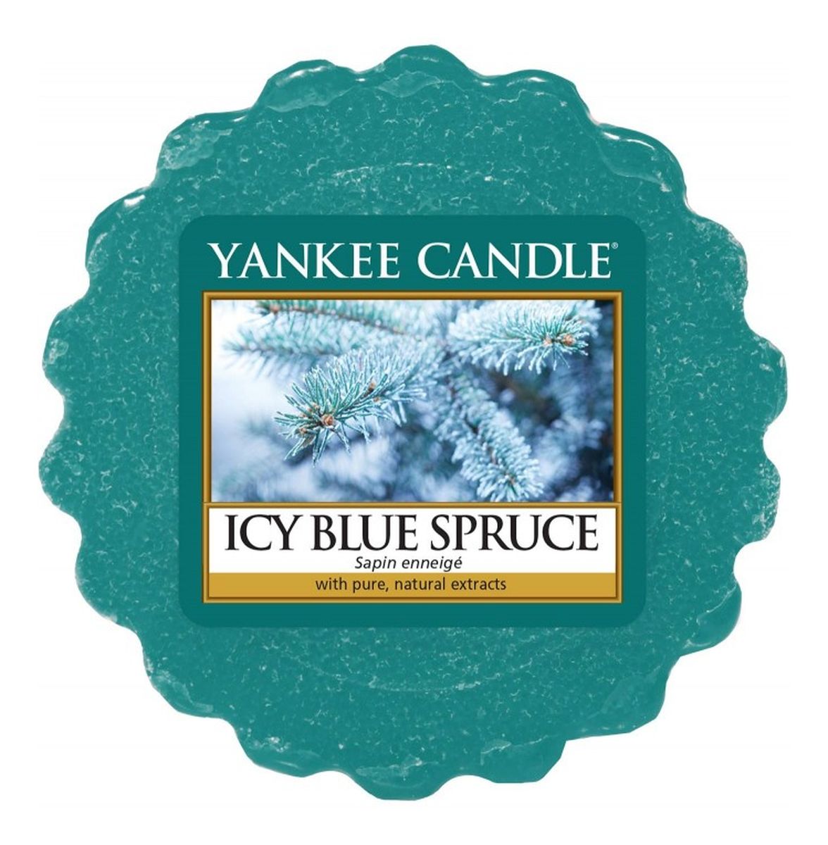 wosk zapachowy Icy Blue Spruce