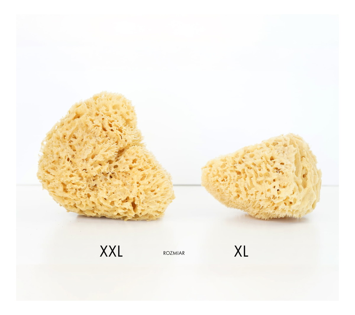 Naturalna gąbka morska do twarzy i ciała - size XL 11-13.5cm