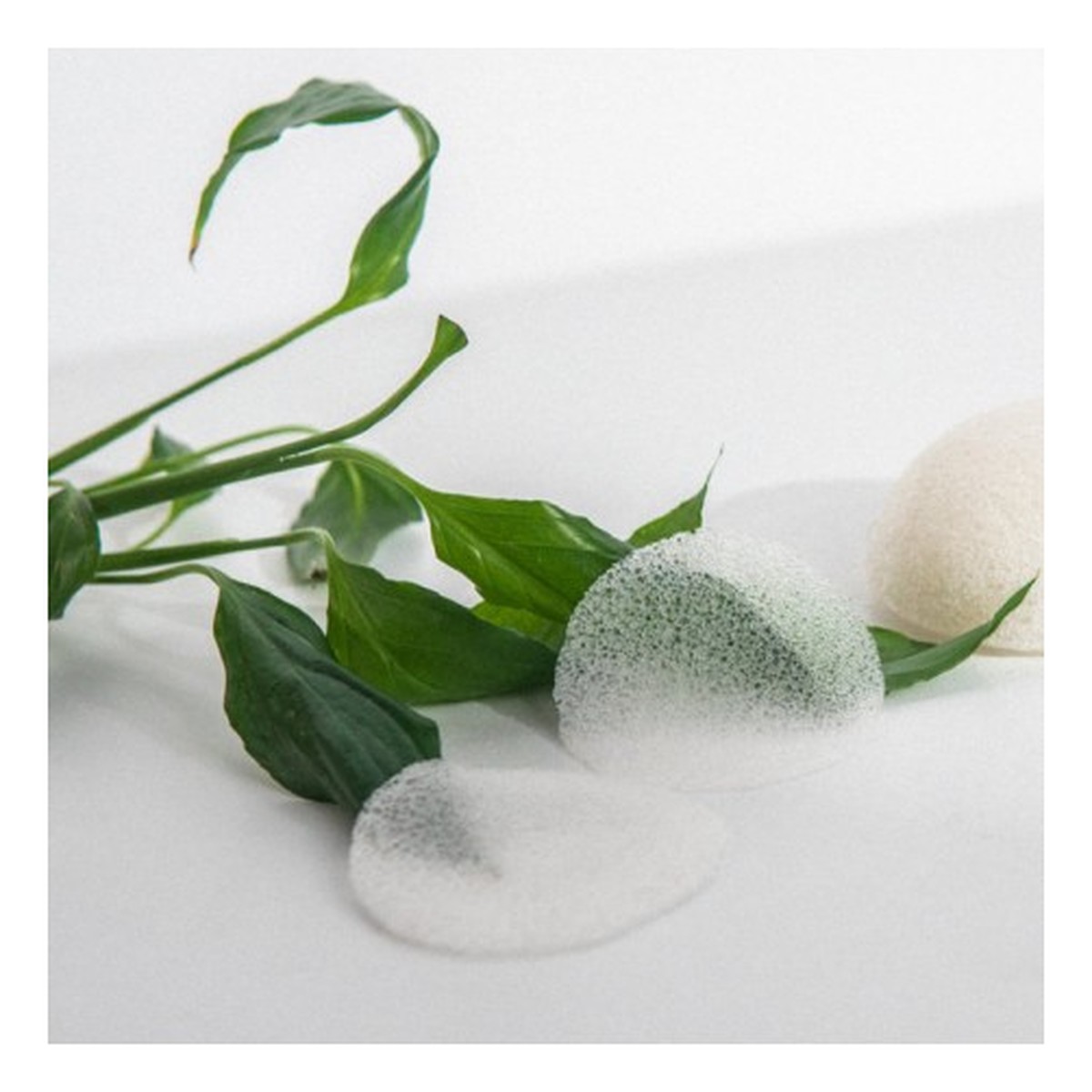 Mohani Konjac wielorazowe roślinne płatki kosmetyczne 3szt.