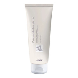 Odżywka Regenerująca Do Włosów