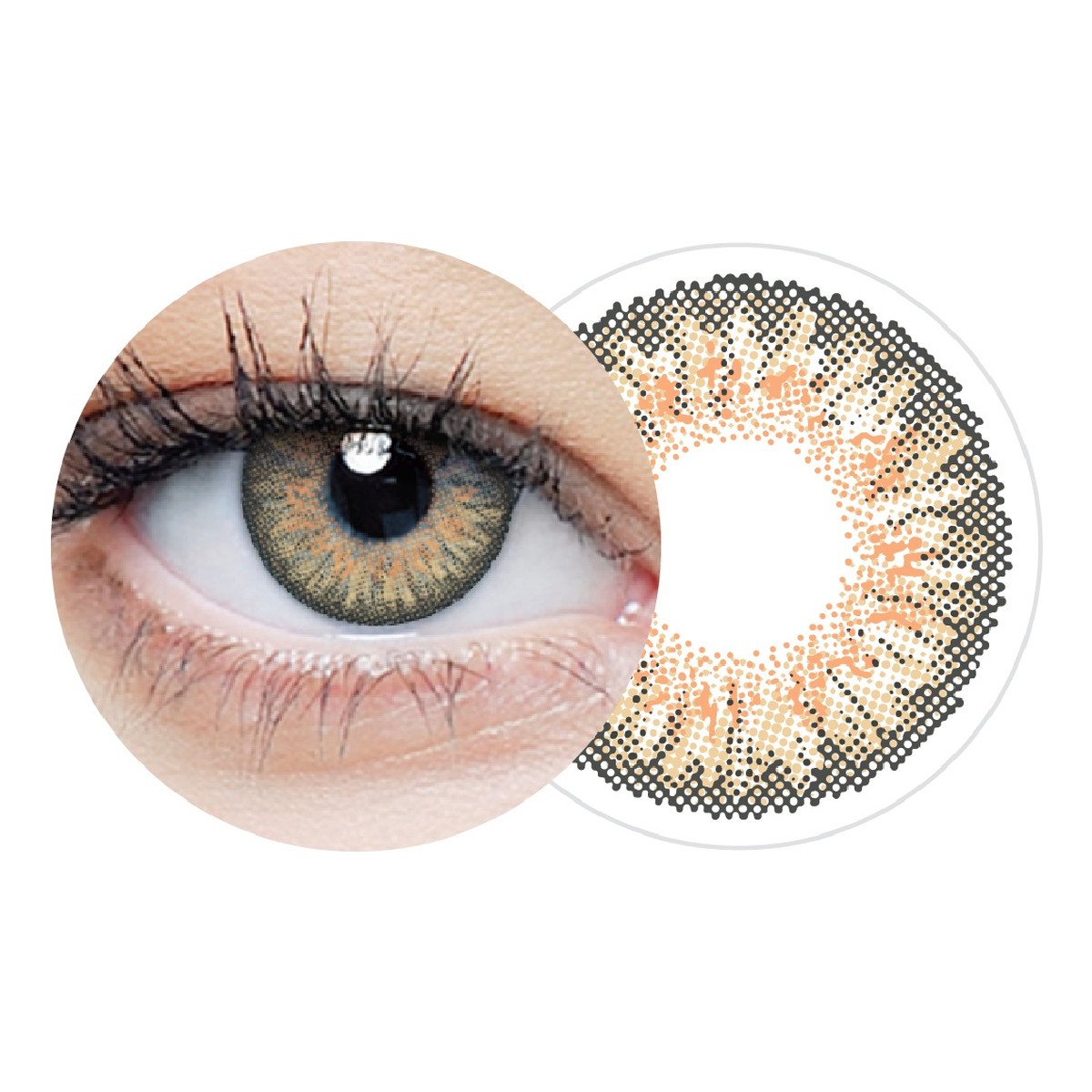 Clearlab Clearcolor 1-day hazel jednodniowe kolorowe soczewki kontaktowe fl332-2.75 10szt