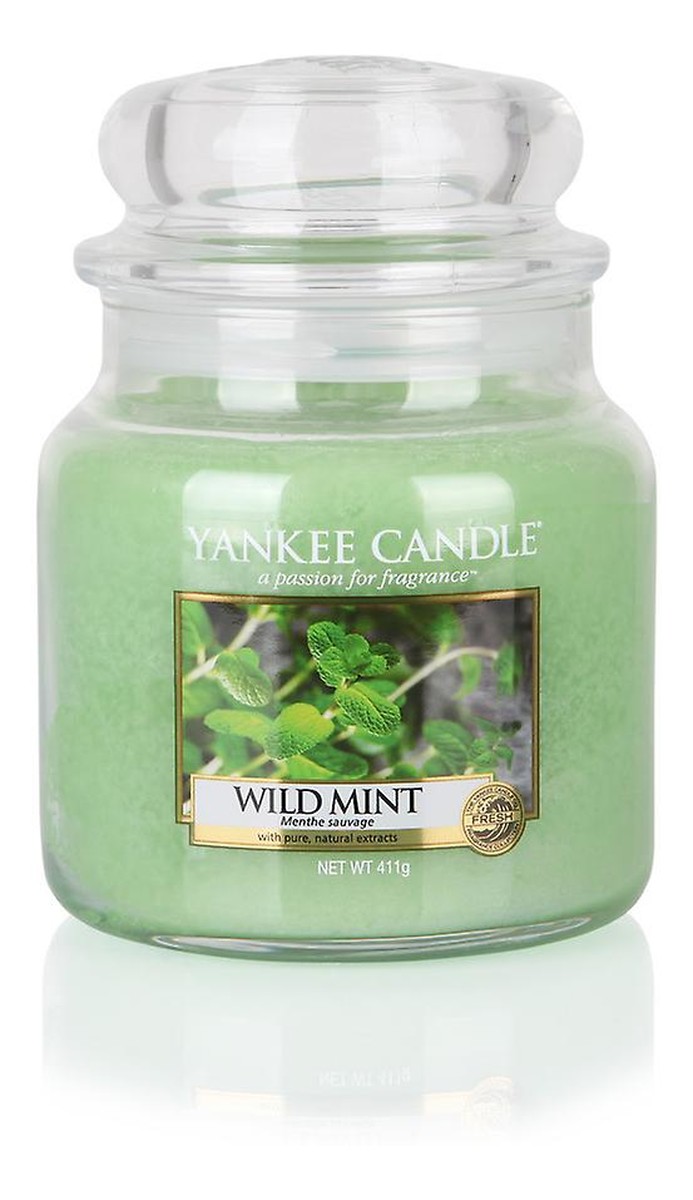 średnia świeczka zapachowa Wild Mint