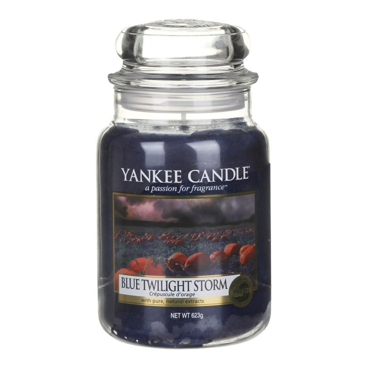 Yankee Candle Large Jar Duża świeczka zapachowa Blue Twilight Storm 620g