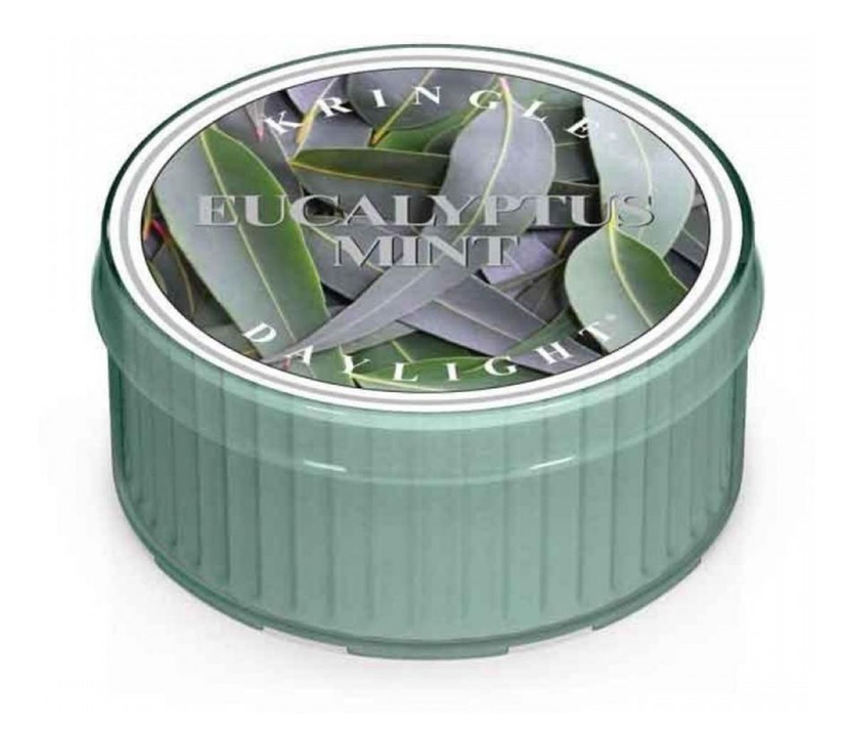 Daylight świeczka zapachowa eucalyptus mint