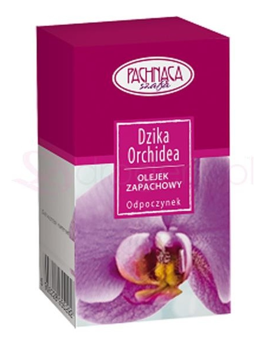 Dzika Orchidea