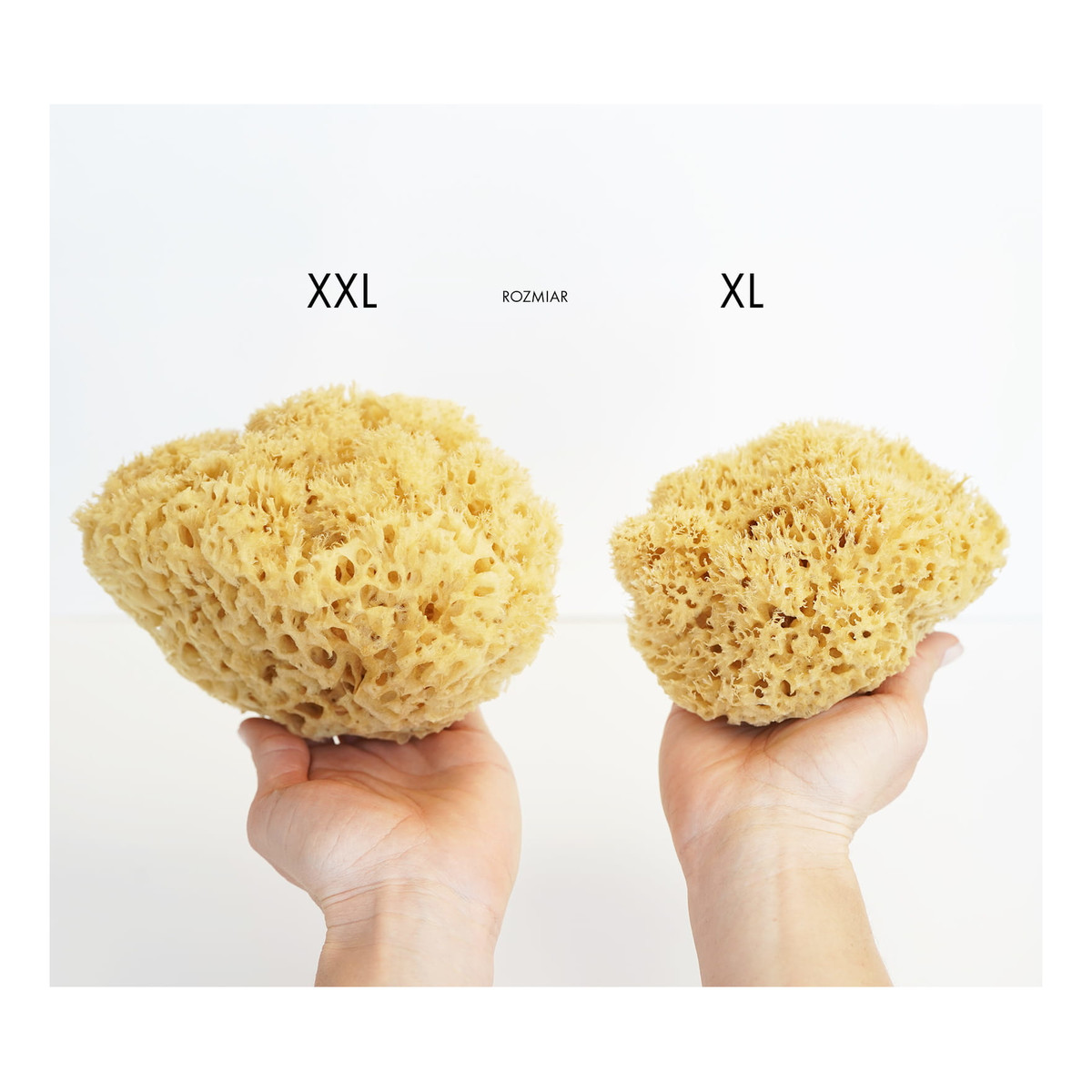 Lullalove Naturalna gąbka morska do twarzy i ciała - size XL 11-13.5cm