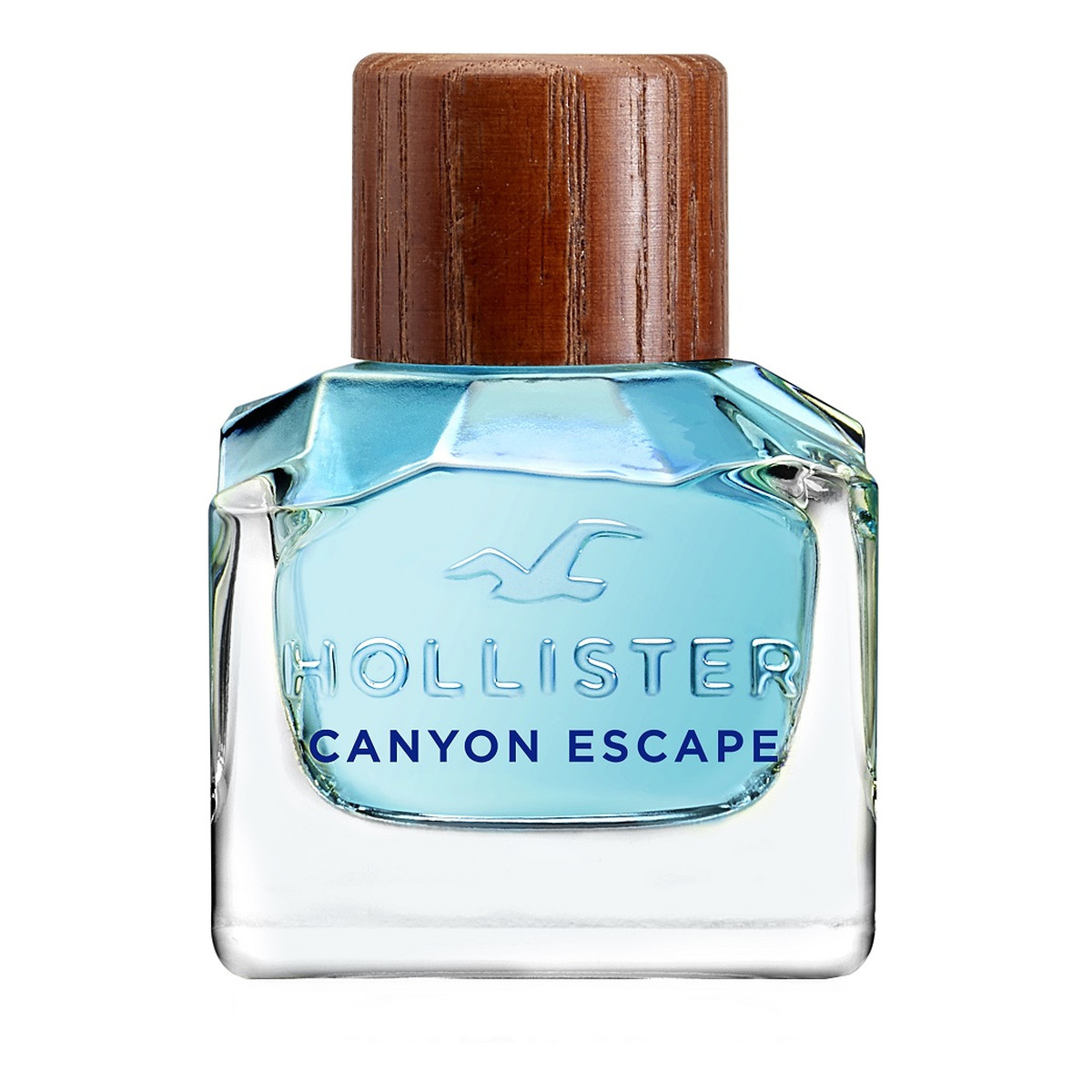 Hollister Canyon Escape For Him Woda toaletowa spray 50ml