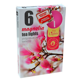 PODGRZEWACZ MAGNOLIA 6szt