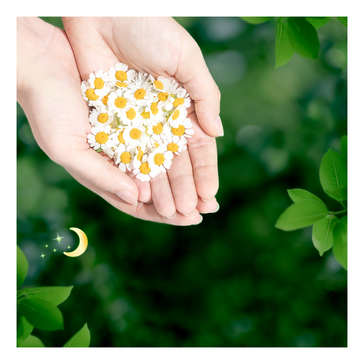 Naturella Ultra Podpaski Night Plus ze skrzydełkami 1 op.-7 sztuk