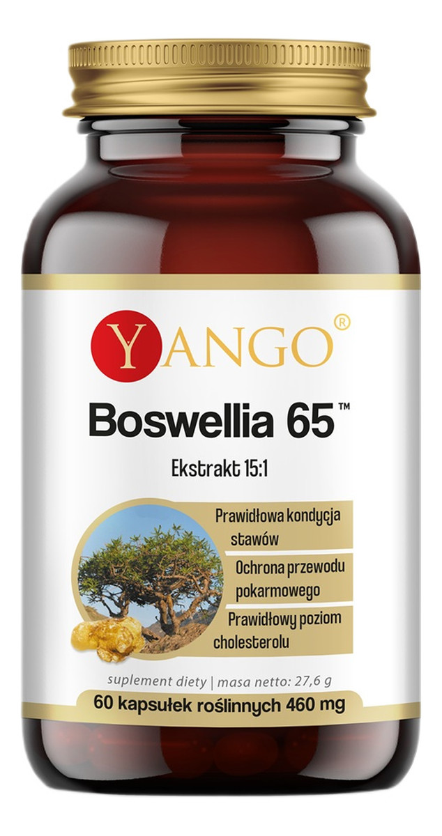 Boswellia 65 suplement diety 60 kapsułek