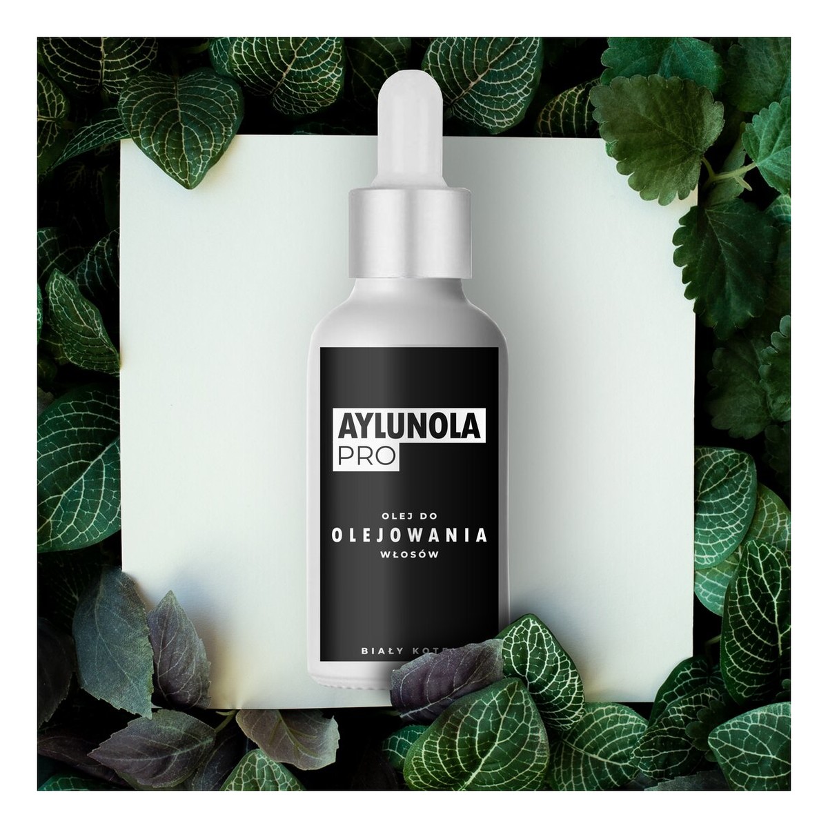 Biały Koteł Aylunola Pro Olej Do Olejowania Włosów 50ml