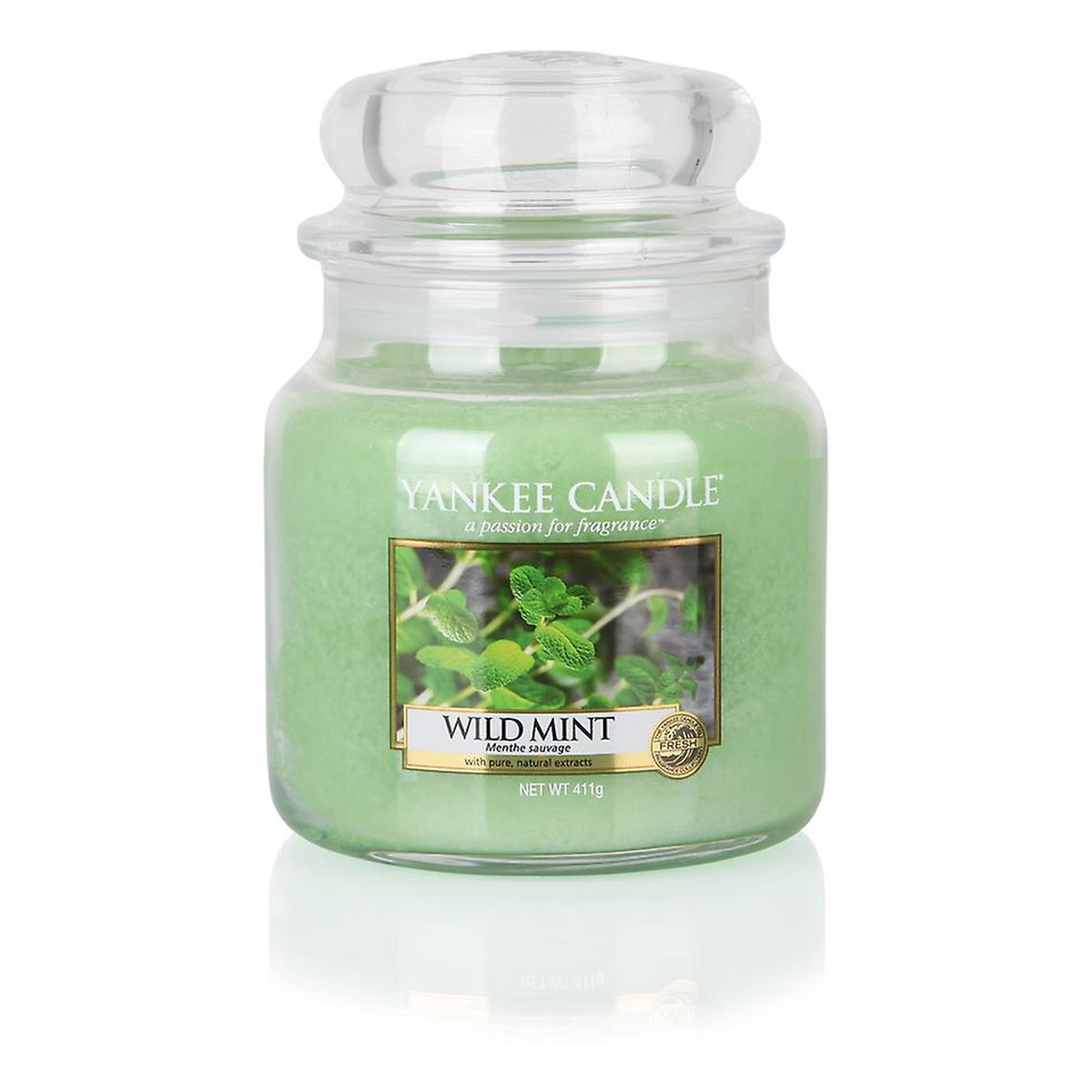 Yankee Candle Med Jar średnia świeczka zapachowa Wild Mint 411g
