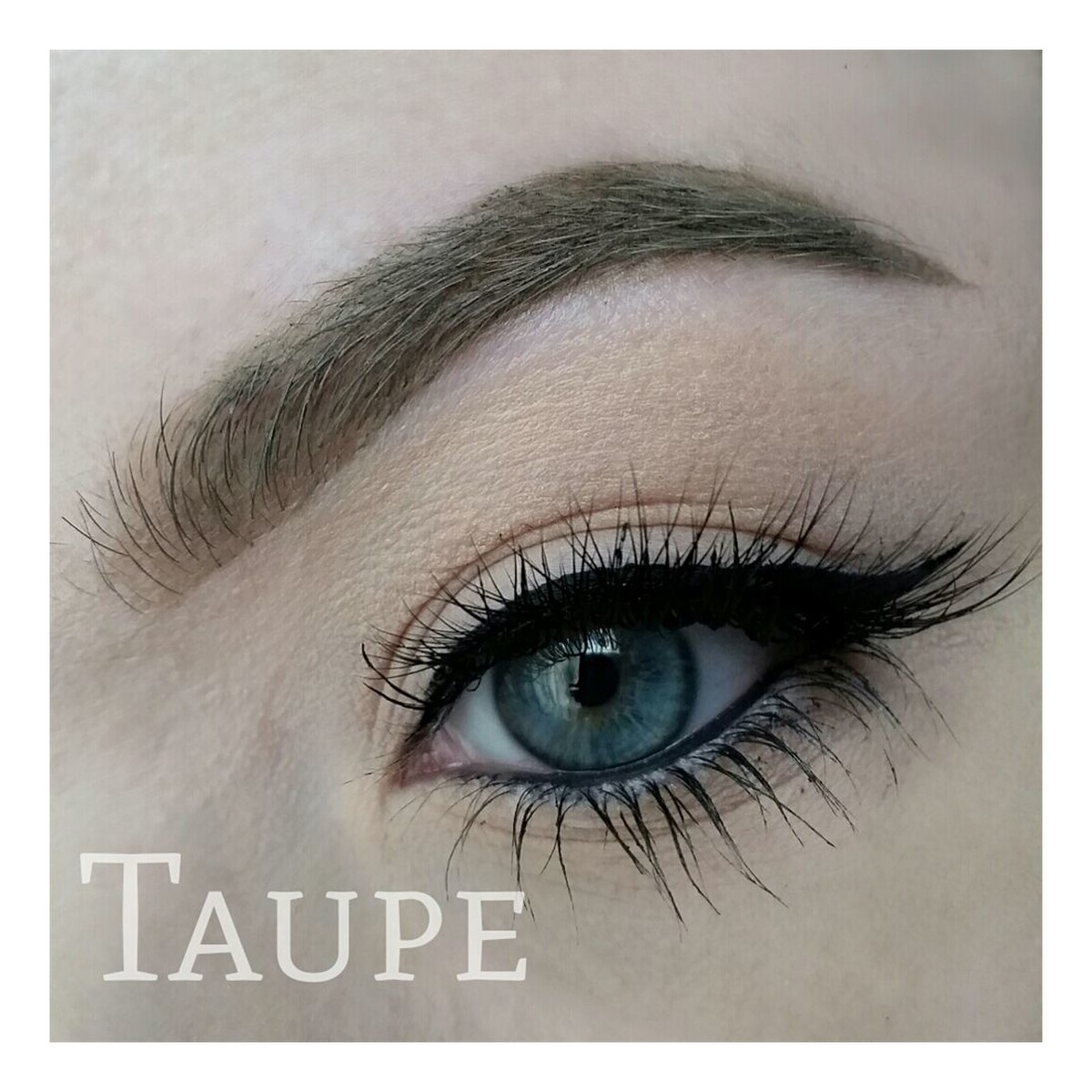 Freedom Makeup Pro Brow Pomade Pomada do brwi