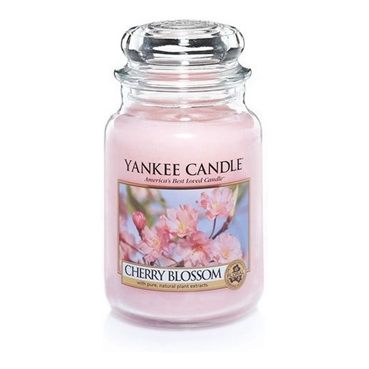 Yankee Candle Large Jar Duża świeczka zapachowa Cherry Blossom 623g