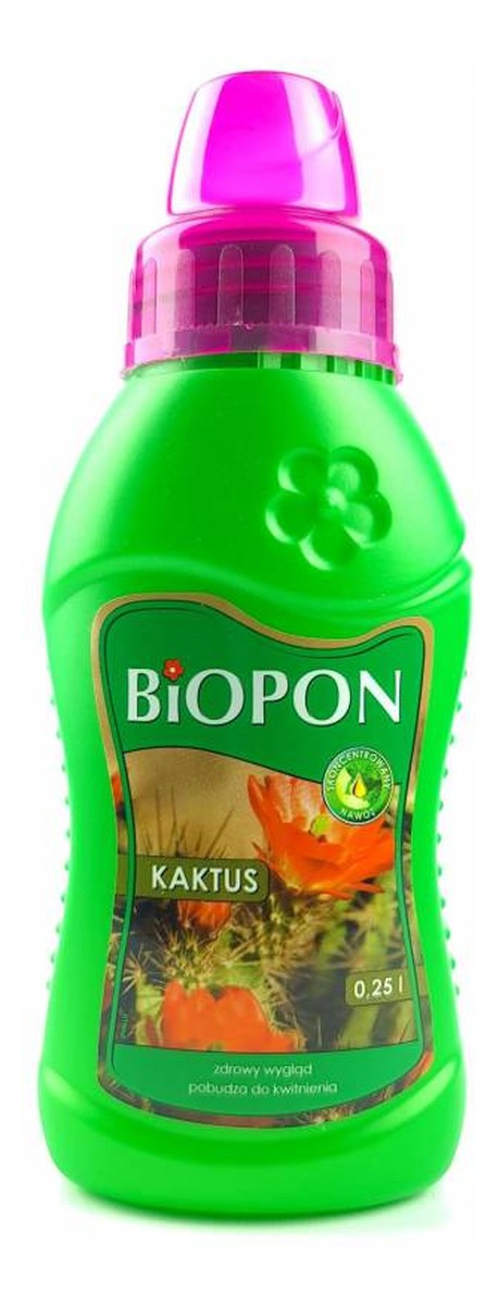 Nawóz do kaktusów