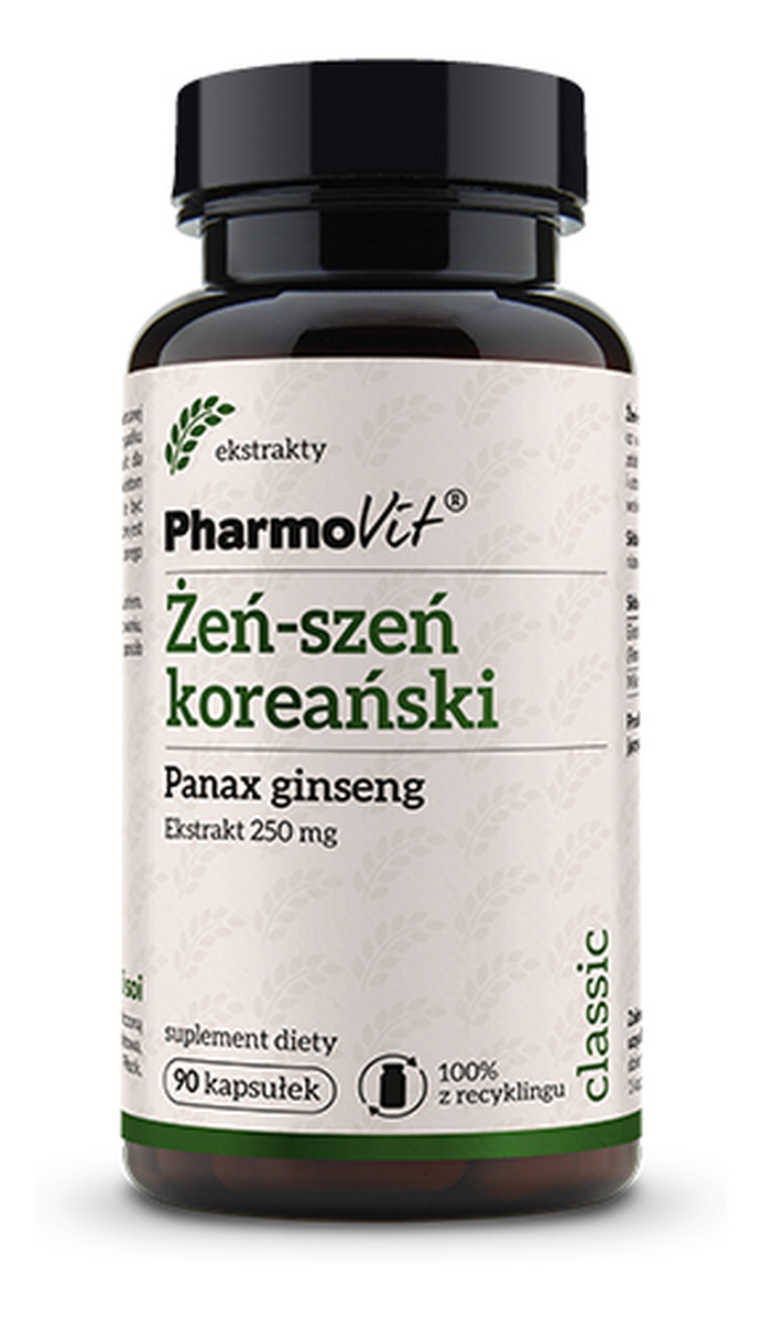 Żeń-szeń koreański Panax ginseng suplement diety 90 kapsułek