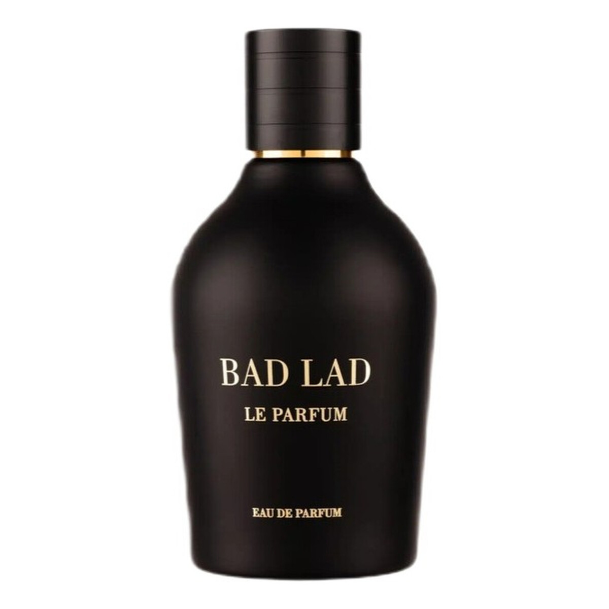 Fragrance World Bad Lad Le Parfum Woda perfumowana spray 100ml