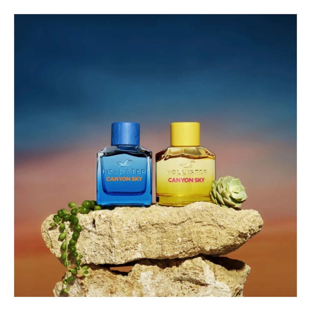 Hollister Canyon Sky For Him woda toaletowa spray 100ml